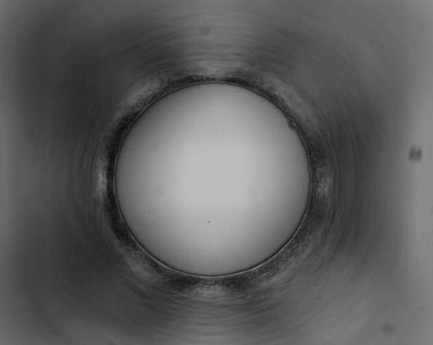 X0000102850685200809021401