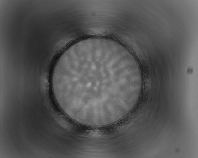 X0000102850688200809021401