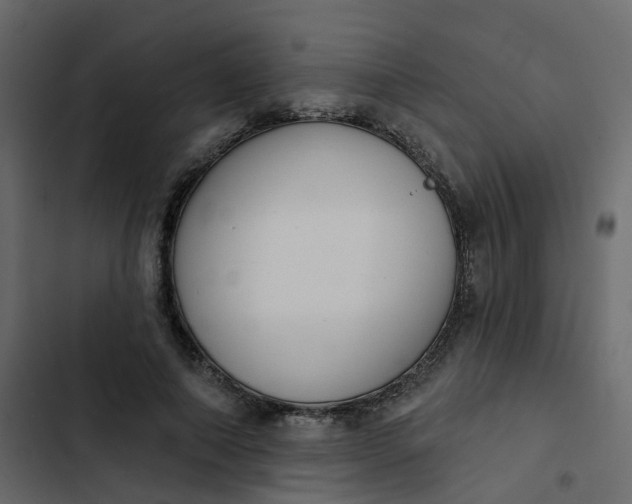 X0000102850690200809021401