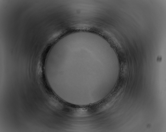 X0000102850692200809021401