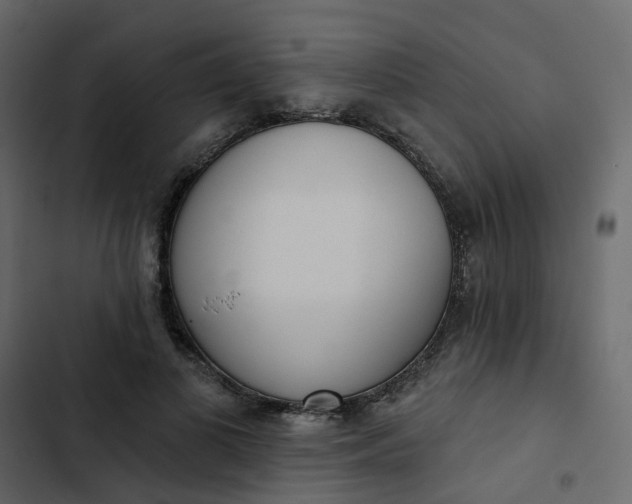 X0000102850693200809021401