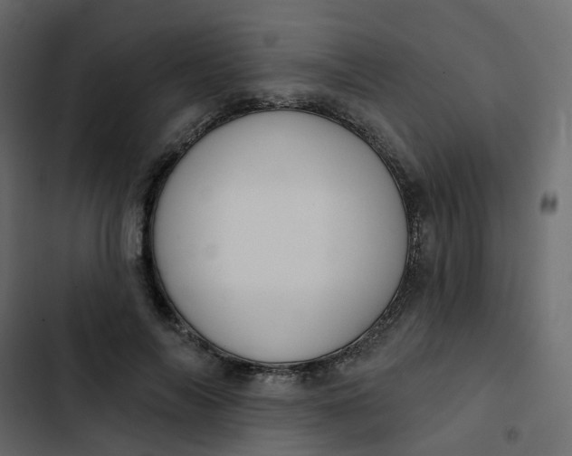 X0000102850694200809021401