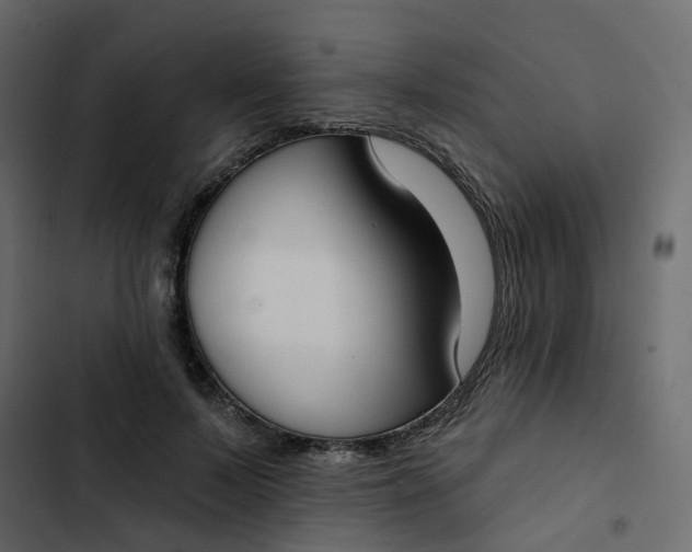 X0000102850695200809021401