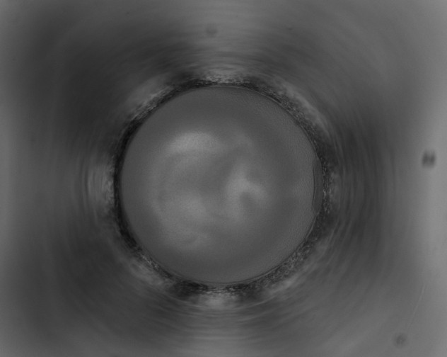 X0000102850696200809021401