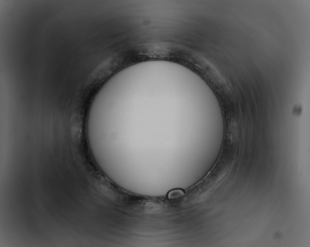 X0000102850697200809021401