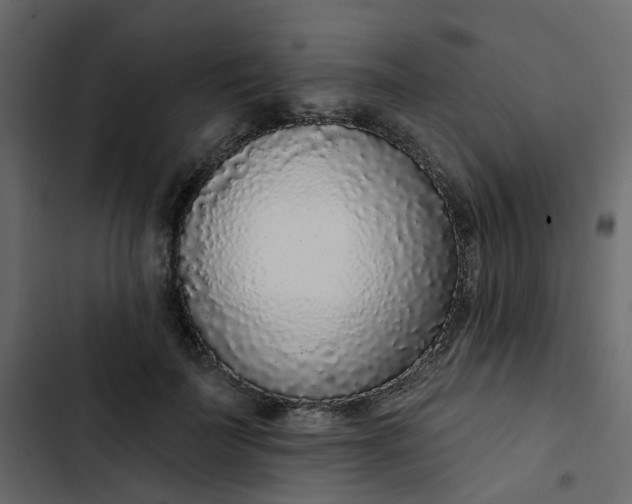 X0000102850699200809021401