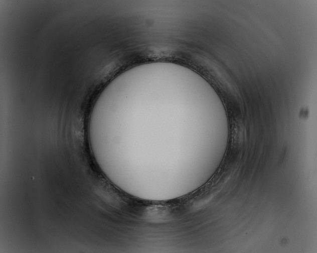 X0000102850700200809021401