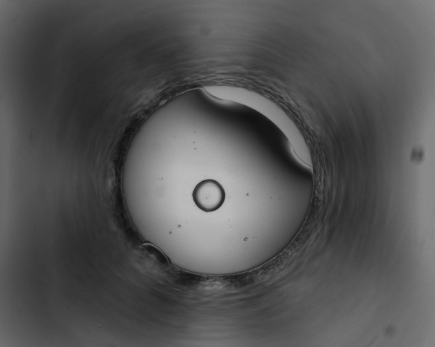 X0000102850704200809021401