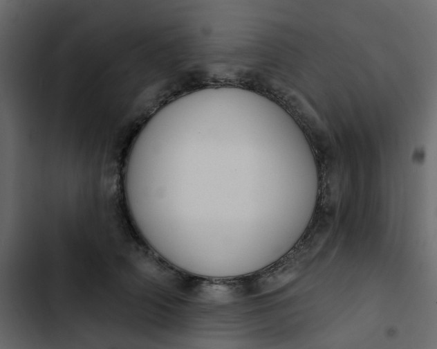 X0000102850706200809021401