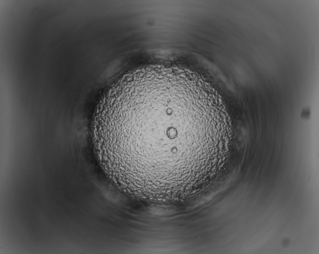 X0000102850707200809021401