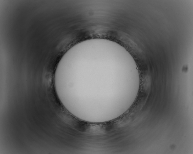 X0000102850709200809021401