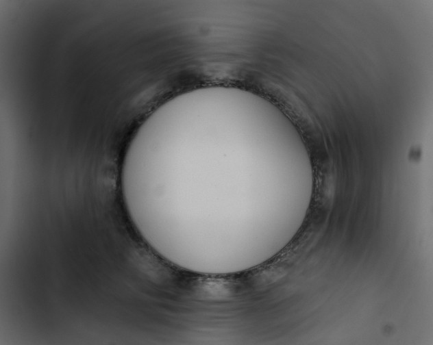 X0000102850710200809021401