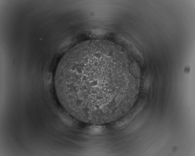 X0000102850711200809021401