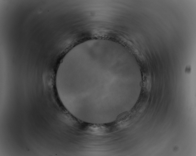 X0000102850712200809021401