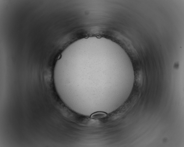 X0000102850715200809021401