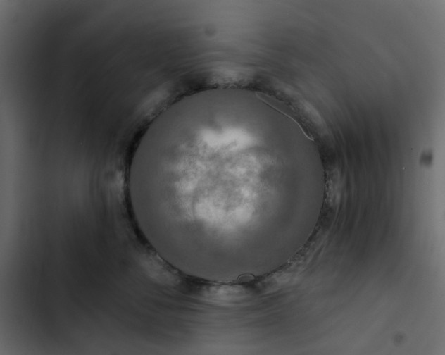 X0000102850716200809021401