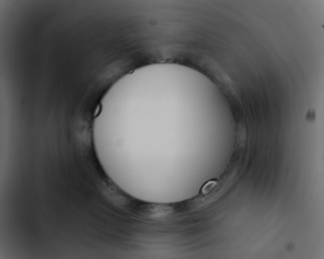 X0000102850719200809021400