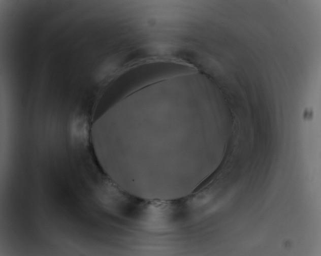 X0000102850720200809021400