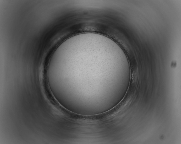 X0000102850722200809021400