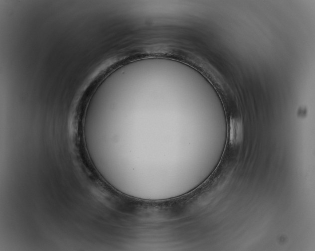 X0000102850723200809021400