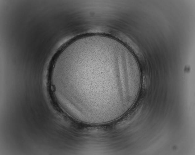 X0000102850724200809021400