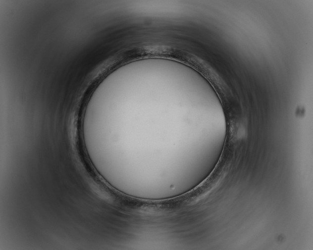 X0000102850725200809021400