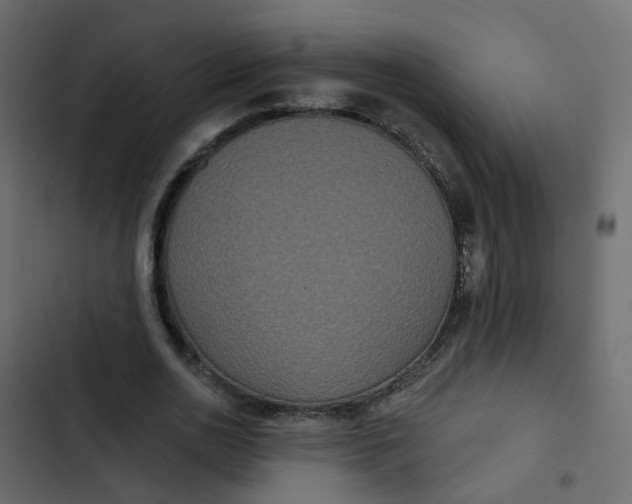 X0000102850726200809021400