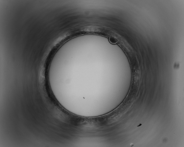 X0000102850727200809021400