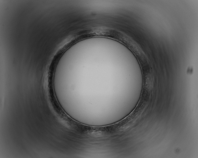 X0000102850730200809021400