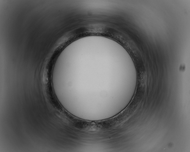 X0000102850731200809021400