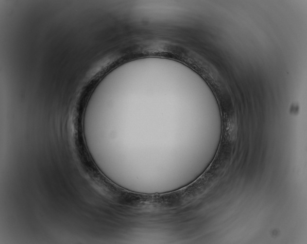 X0000102850732200809021400