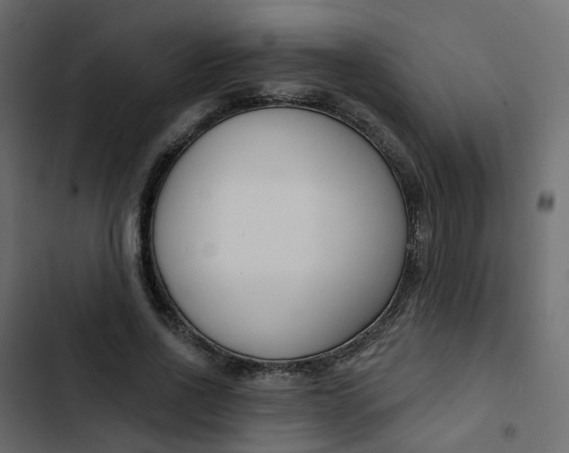 X0000102850734200809021400