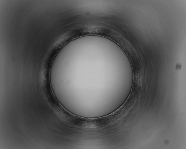 X0000102850735200809021400