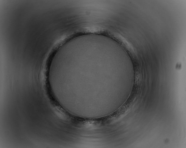 X0000102850736200809021400