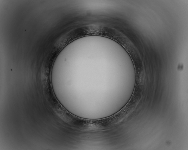 X0000102850737200809021400