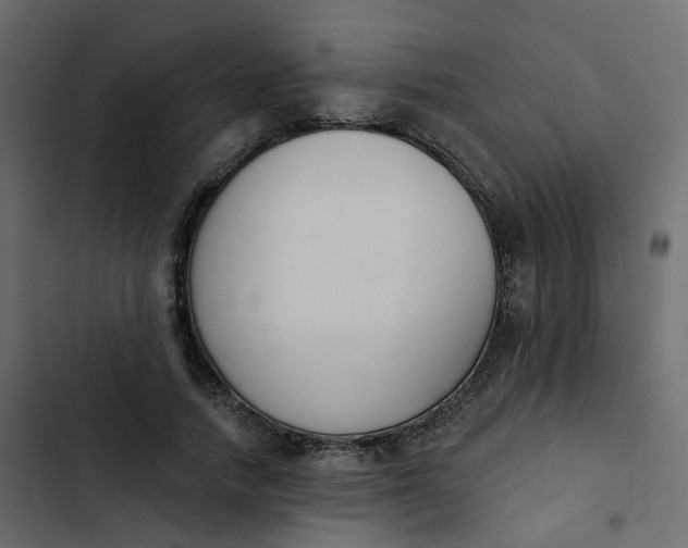 X0000102850738200809021400