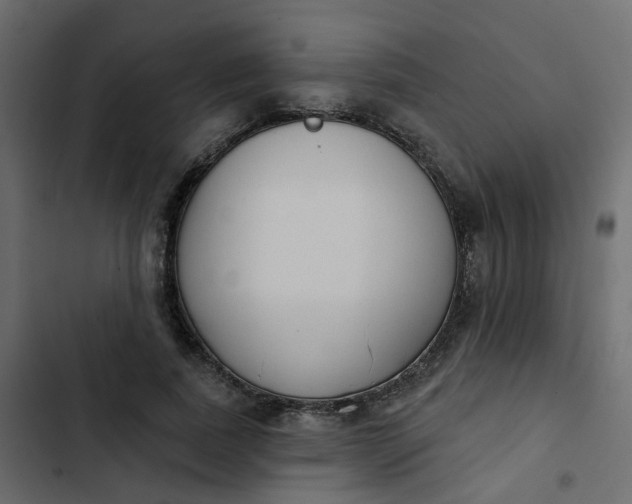 X0000102850739200809021400