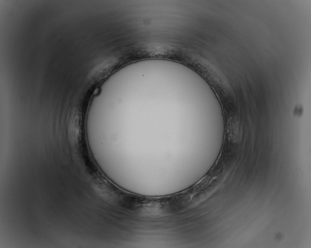 X0000102850740200809021400