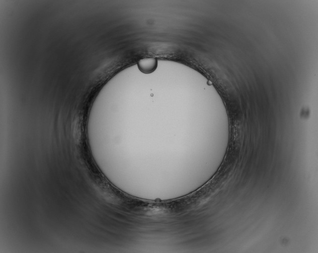 X0000102850741200809021400