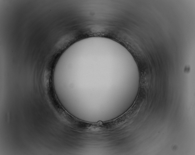 X0000102850742200809021400