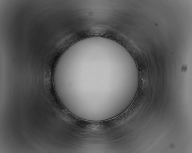 X0000102850745200809021400