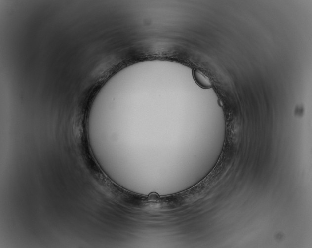 X0000102850746200809021400