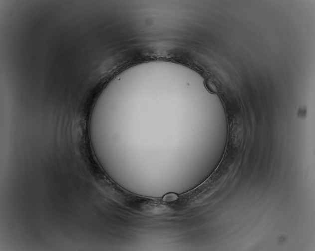 X0000102850747200809021400