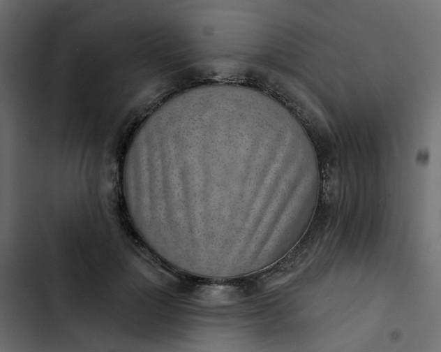 X0000102850748200809021400