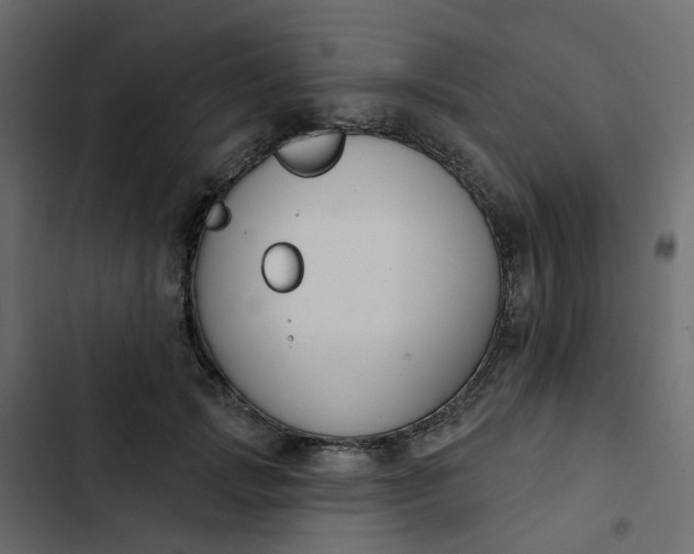 X0000102850749200809021400