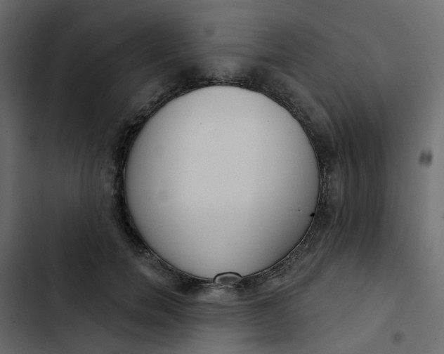 X0000102850750200809021400