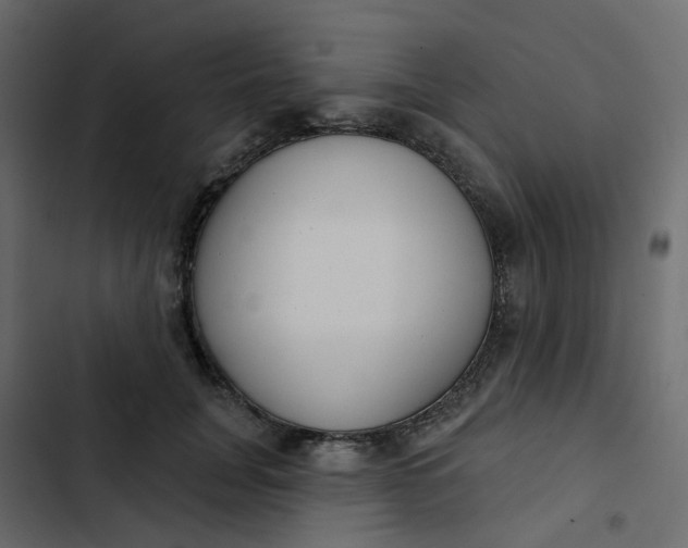 X0000102850751200809021400