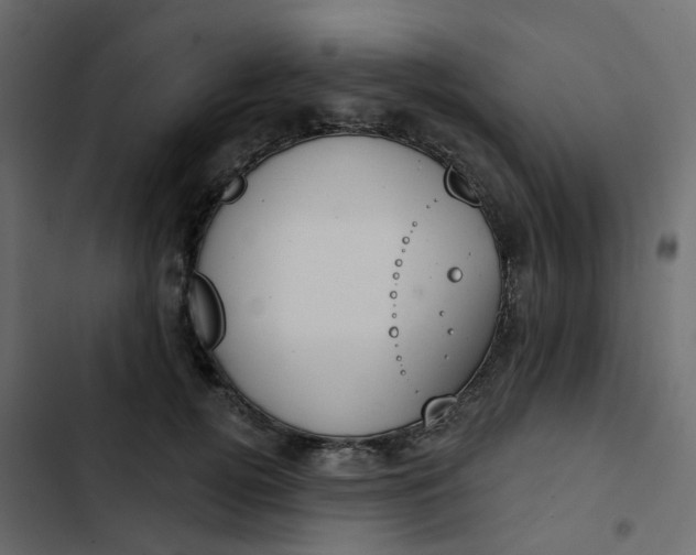 X0000102850752200809021400