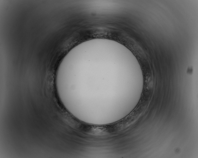 X0000102850753200809021400