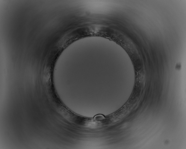 X0000102850754200809021400